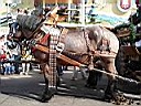 DSC00797.JPG