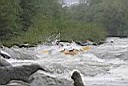 IMG_0752.jpg