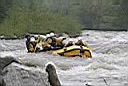 IMG_0754.jpg