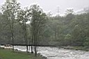 IMG_0794.jpg